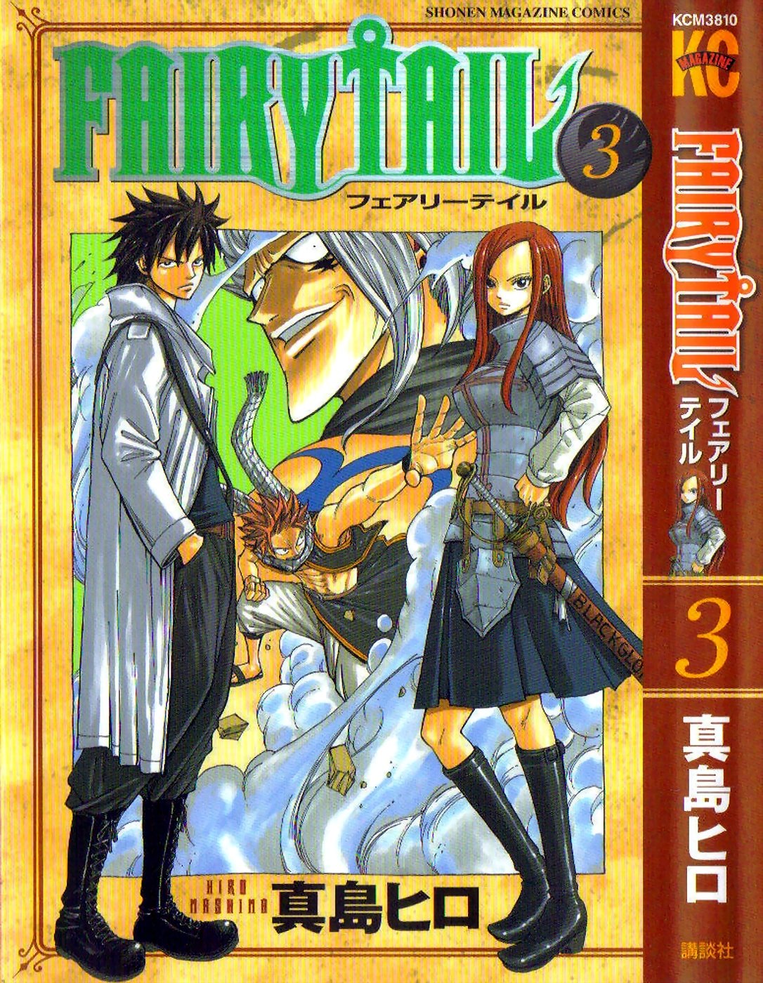 fairytailcoversmanga10.jpg