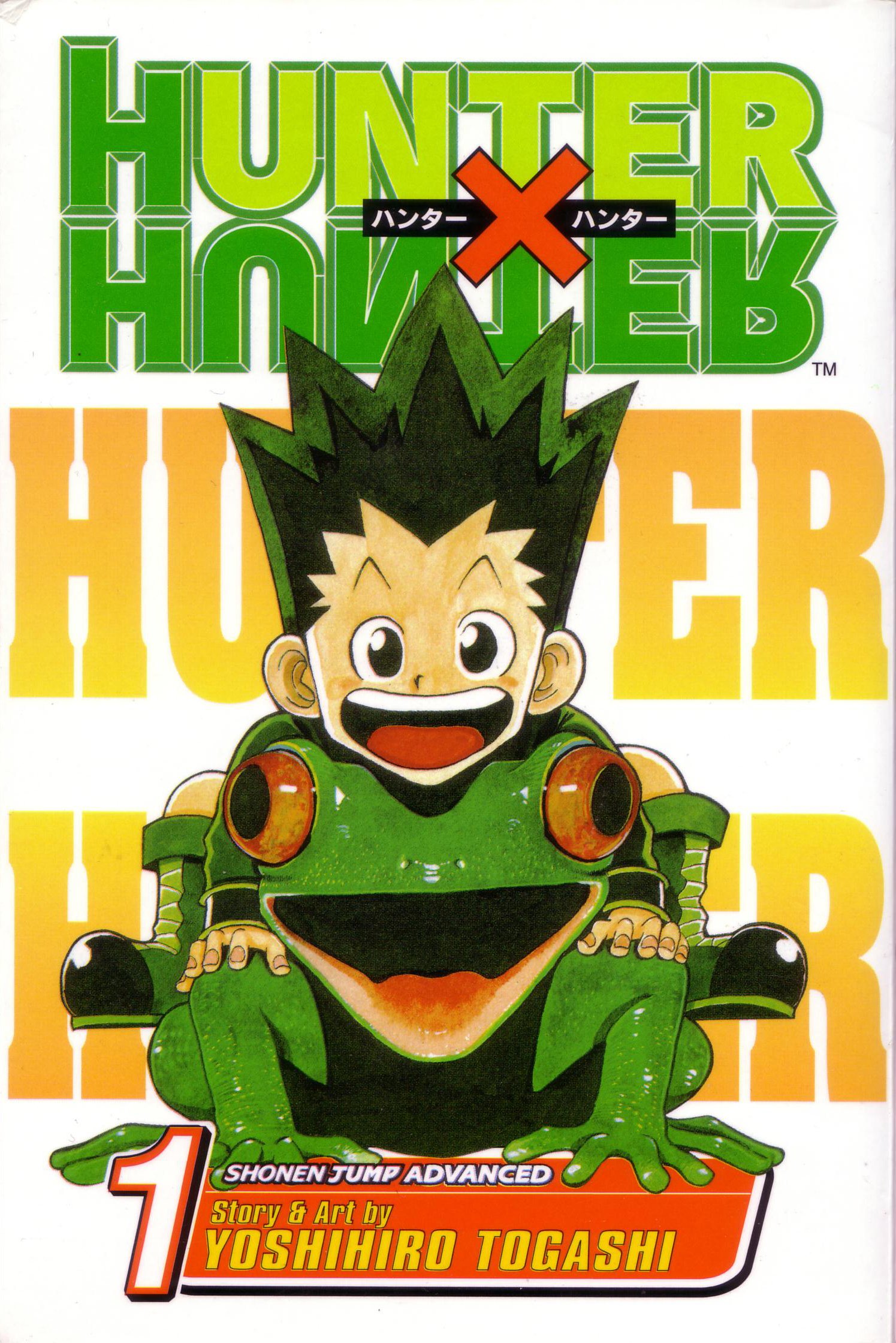 hunterxhuntermangacovers.jpg