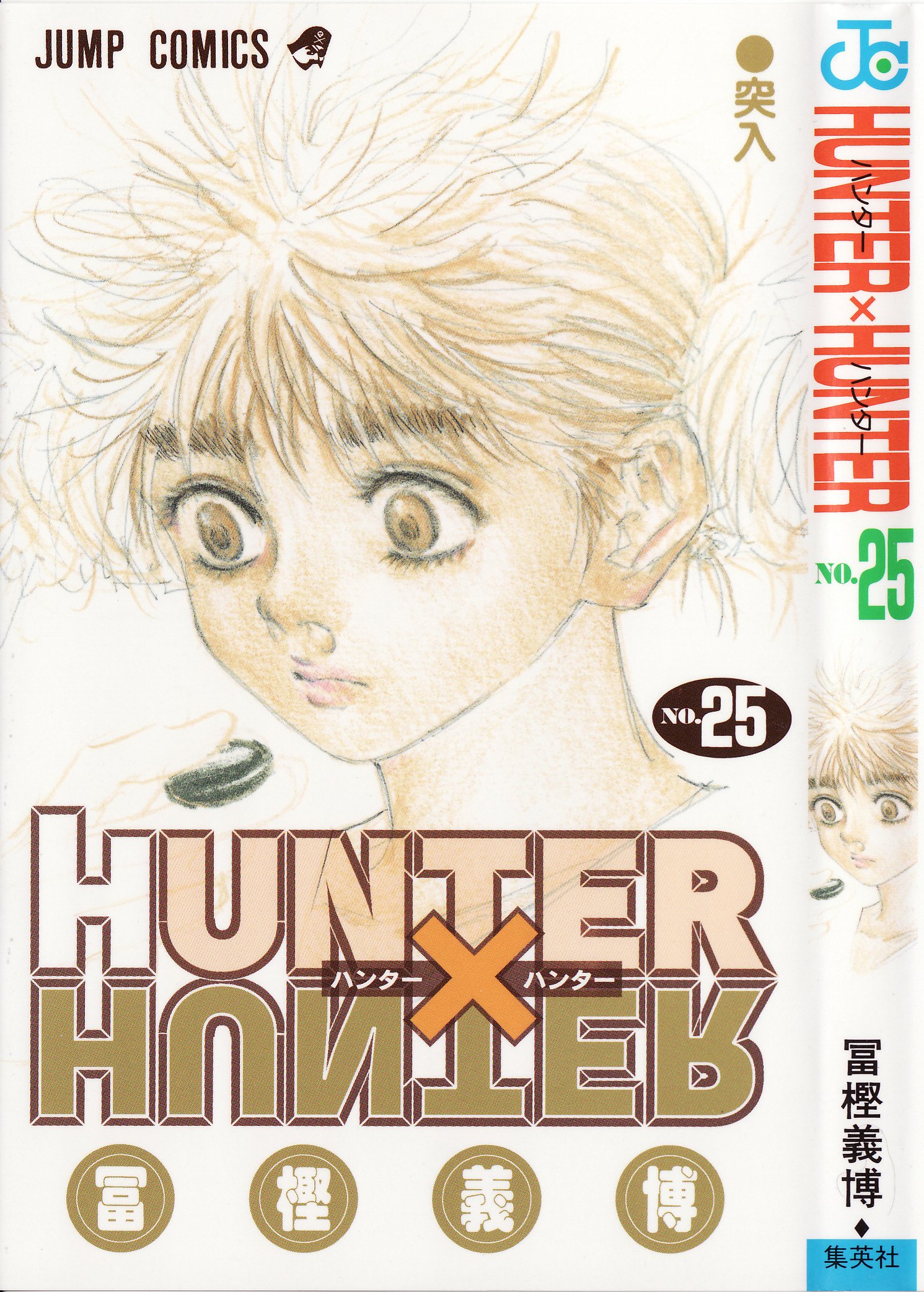 hunterxhuntermangacovers17.jpg