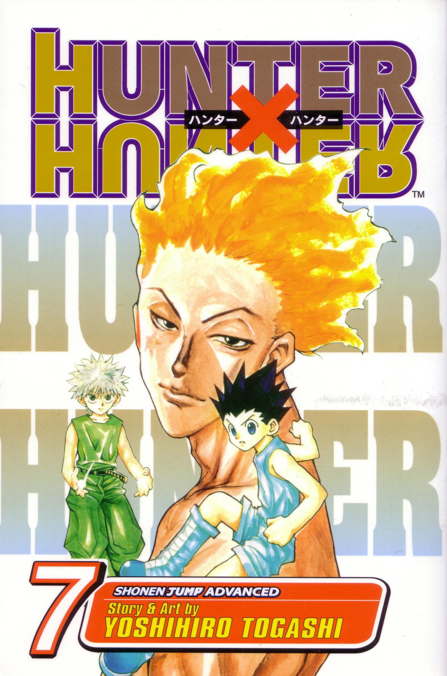 hunterxhuntermangacovers7.jpg