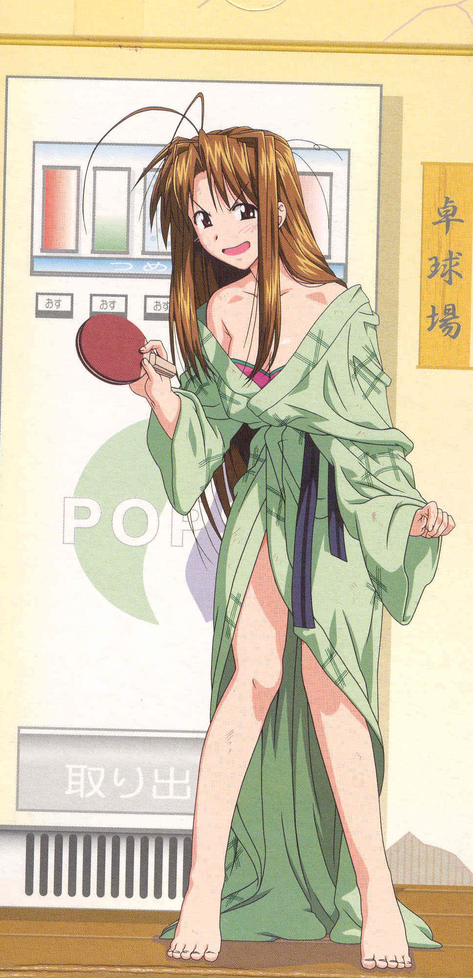 lovehina27.jpg