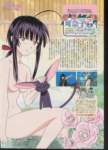lovehina30_small.jpg