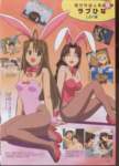 lovehina62_small.jpg