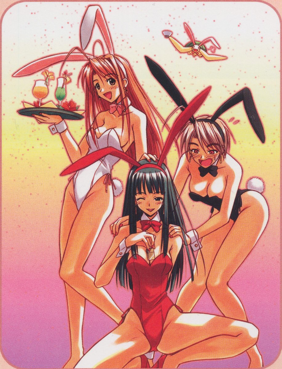 lovehina88.jpg