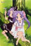 luckystar230_small.jpg