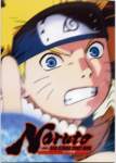 naruto47_small.jpg