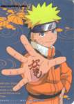 naruto111_small.jpg