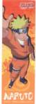 naruto29_small.jpg