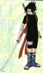 naruto9_small.jpg