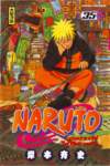 narutocovermanga29_small.jpg