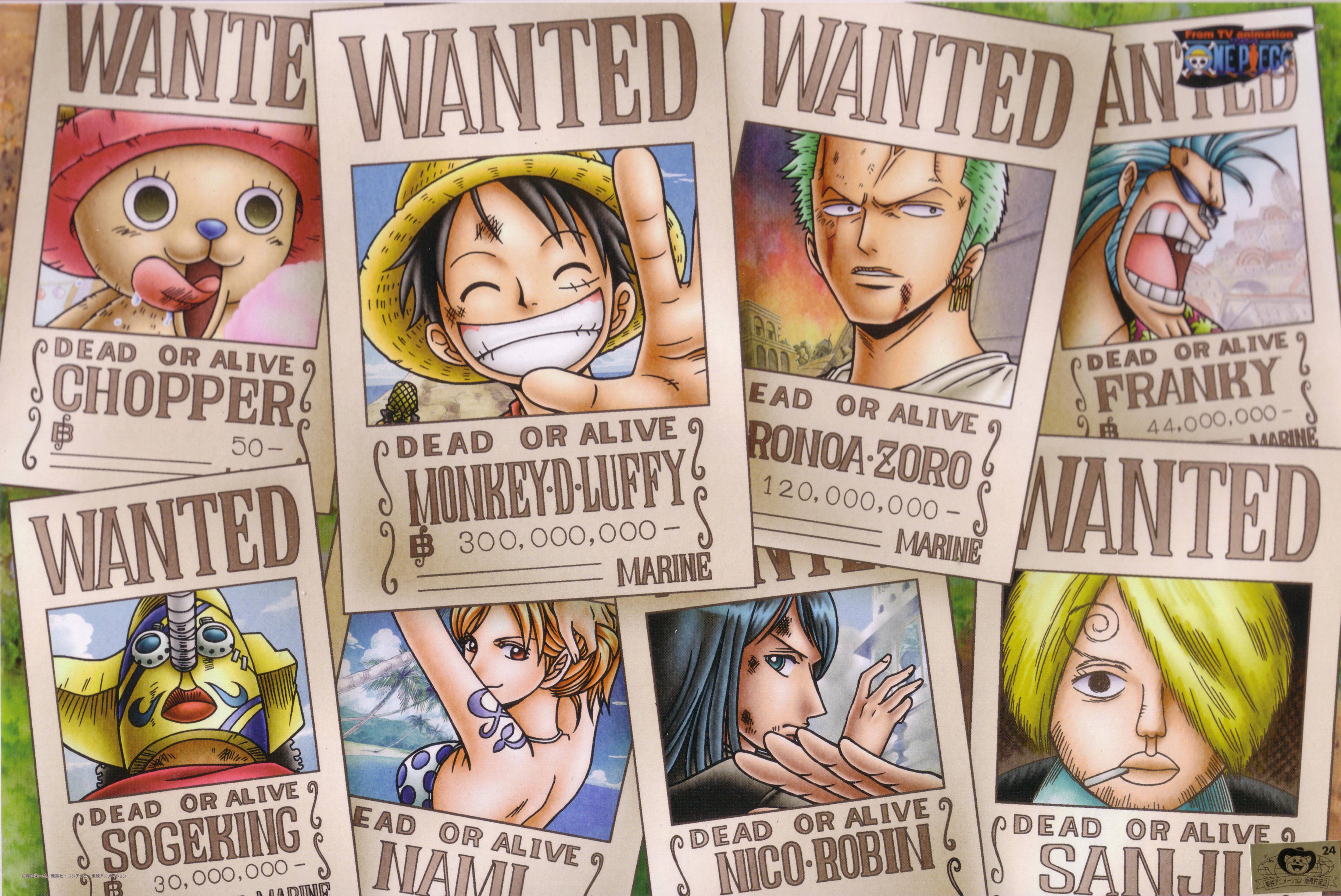 onepiece350.jpg