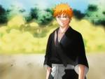 Ver esta imagen de Bleach a tamaño completo