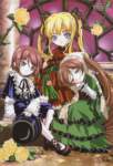 rozenmaiden44_small.jpg