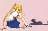 sailormoon344_small.jpg