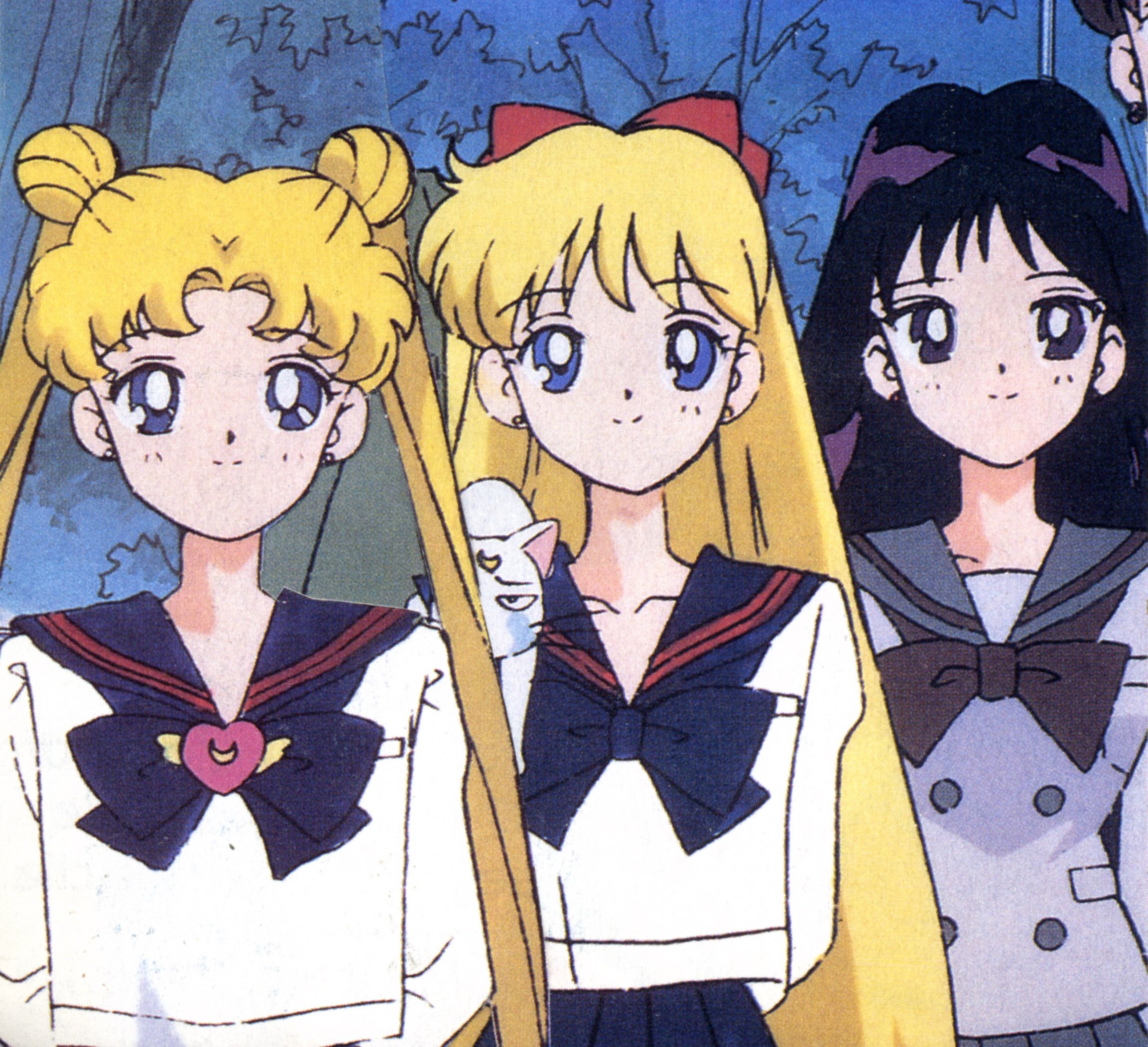 sailormoon389.jpg