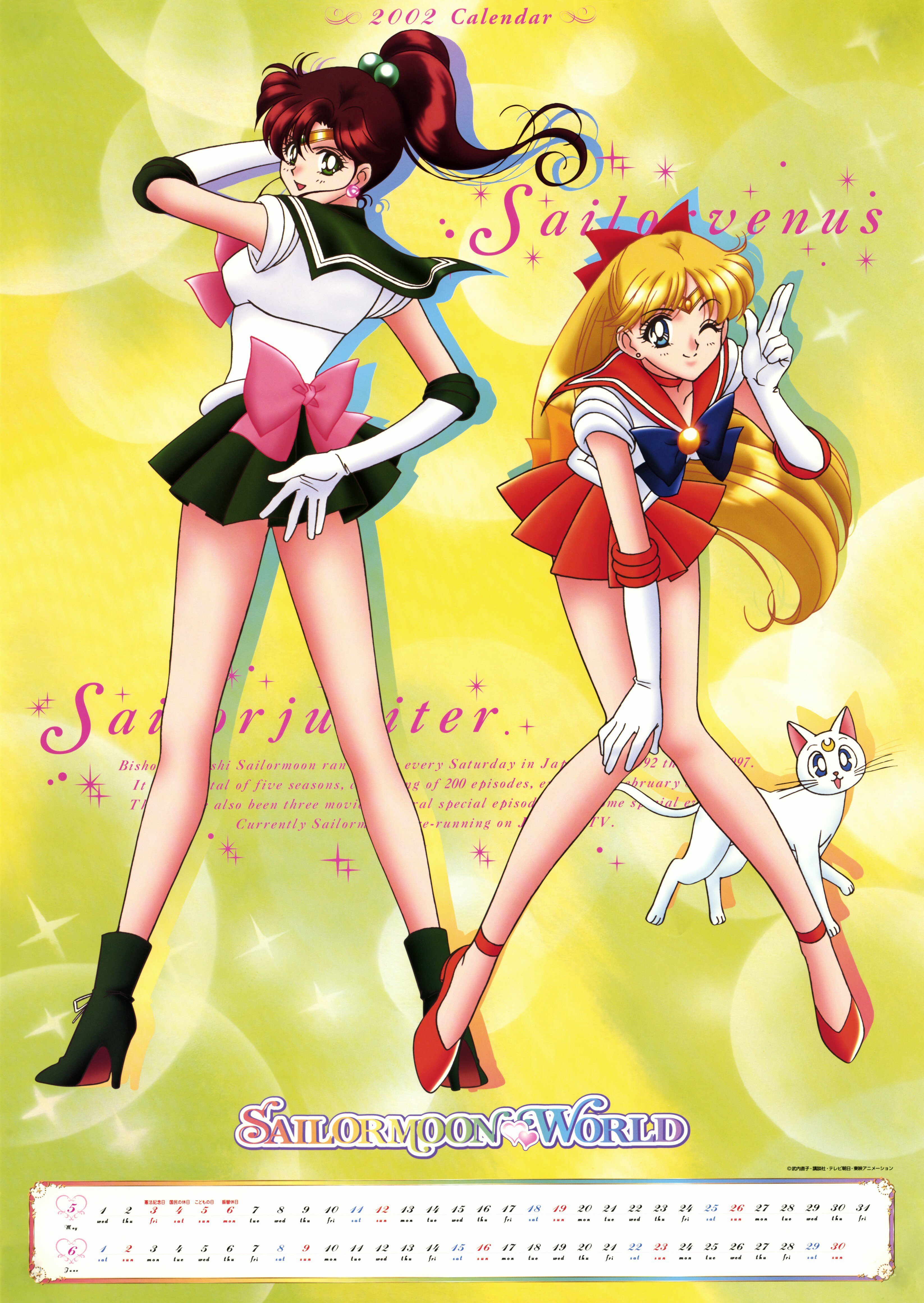 sailormoon465.jpg