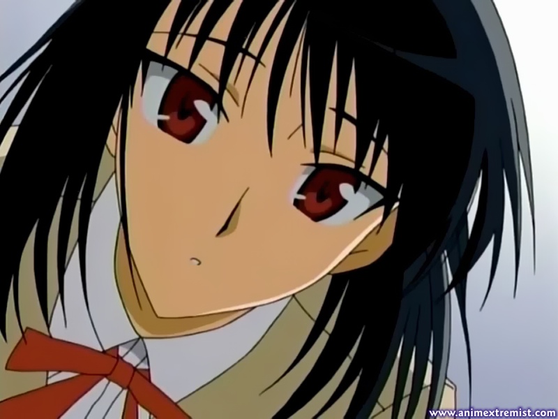 Imagen en alta resolucion de School Rumble Ni Gakki - School Rumble Scan