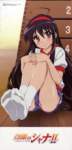 shakugannoshana319_small.jpg