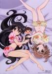 shakugannoshana340_small.jpg