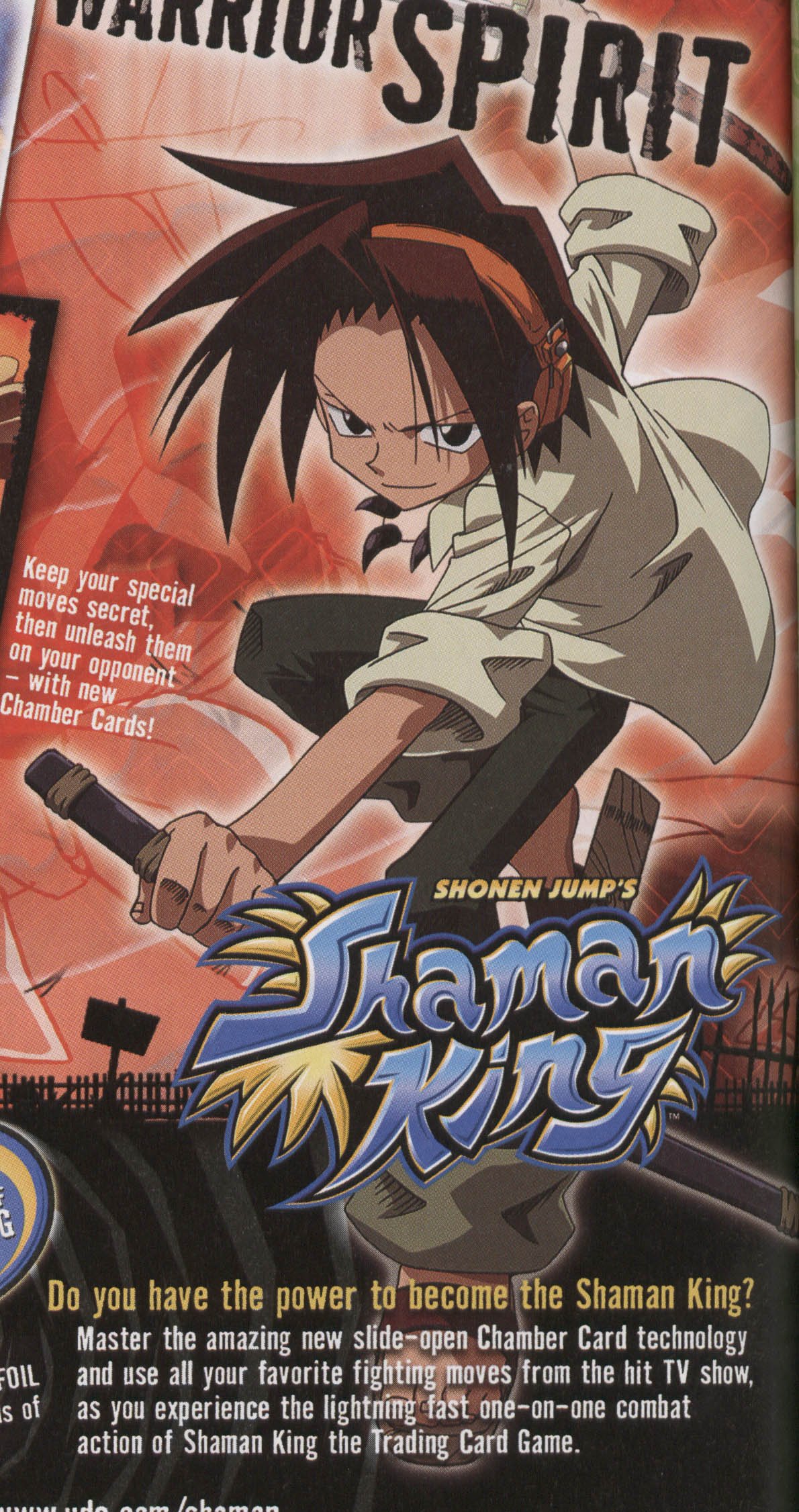 shamanking33.jpg