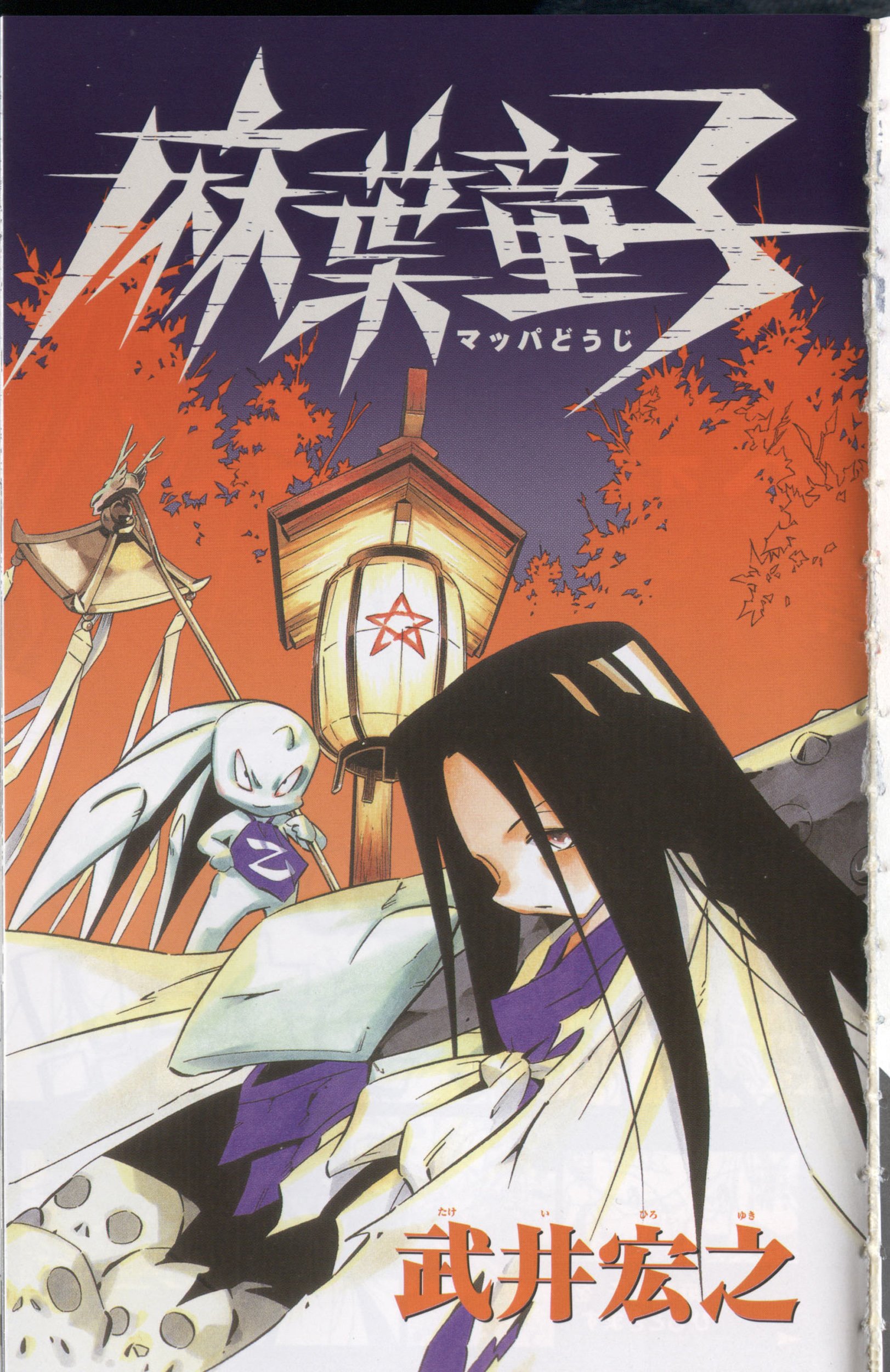 shamanking61.jpg