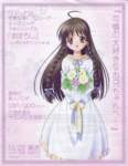 sisterprincess346_small.jpg