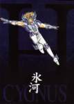 saintseiya250_small.jpg