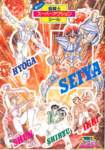saintseiya256_small.jpg