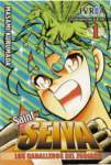 saintseiya264_small.jpg