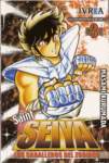 saintseiya266_small.jpg
