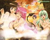 toloveru177_small.jpg