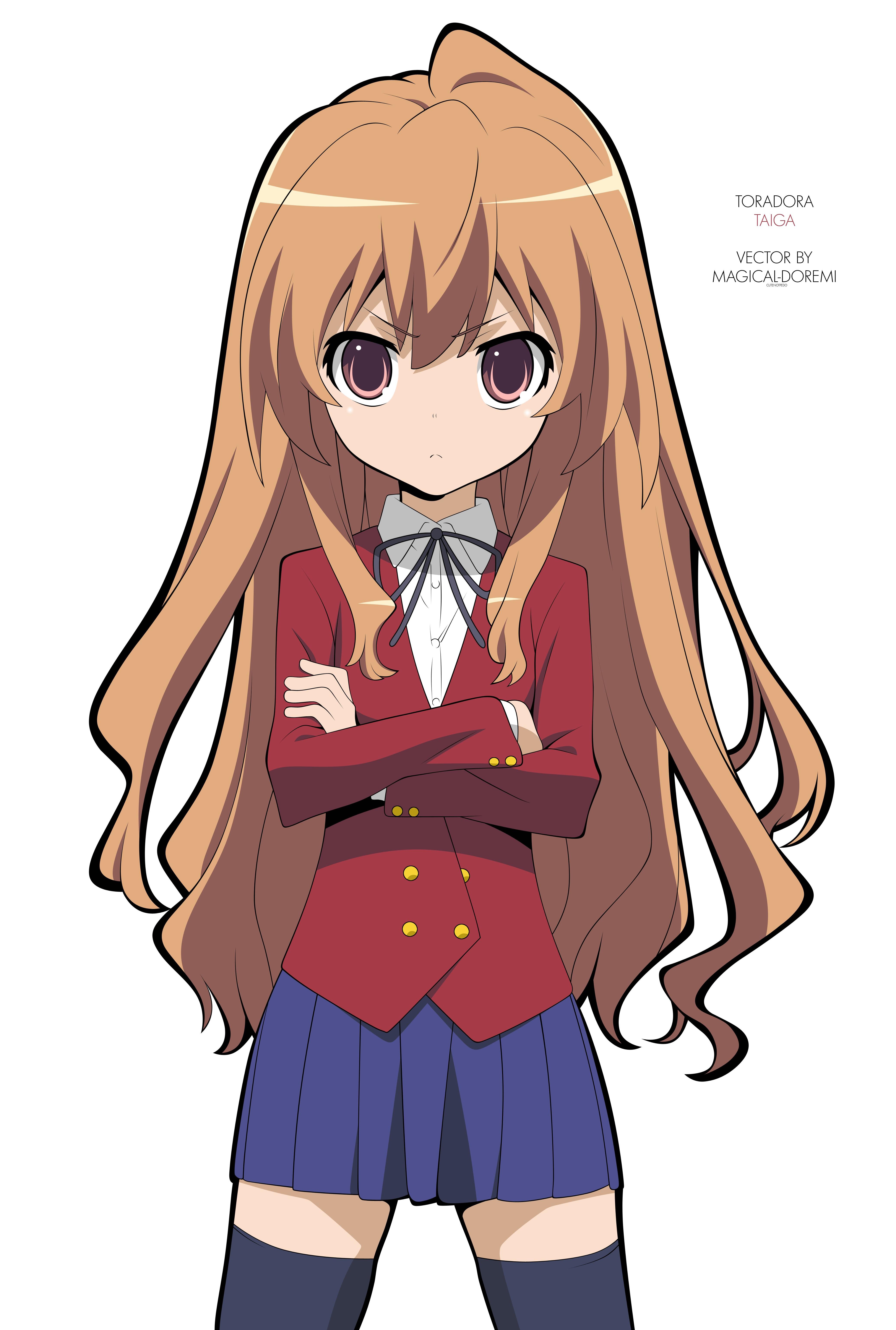 toradora101.jpg