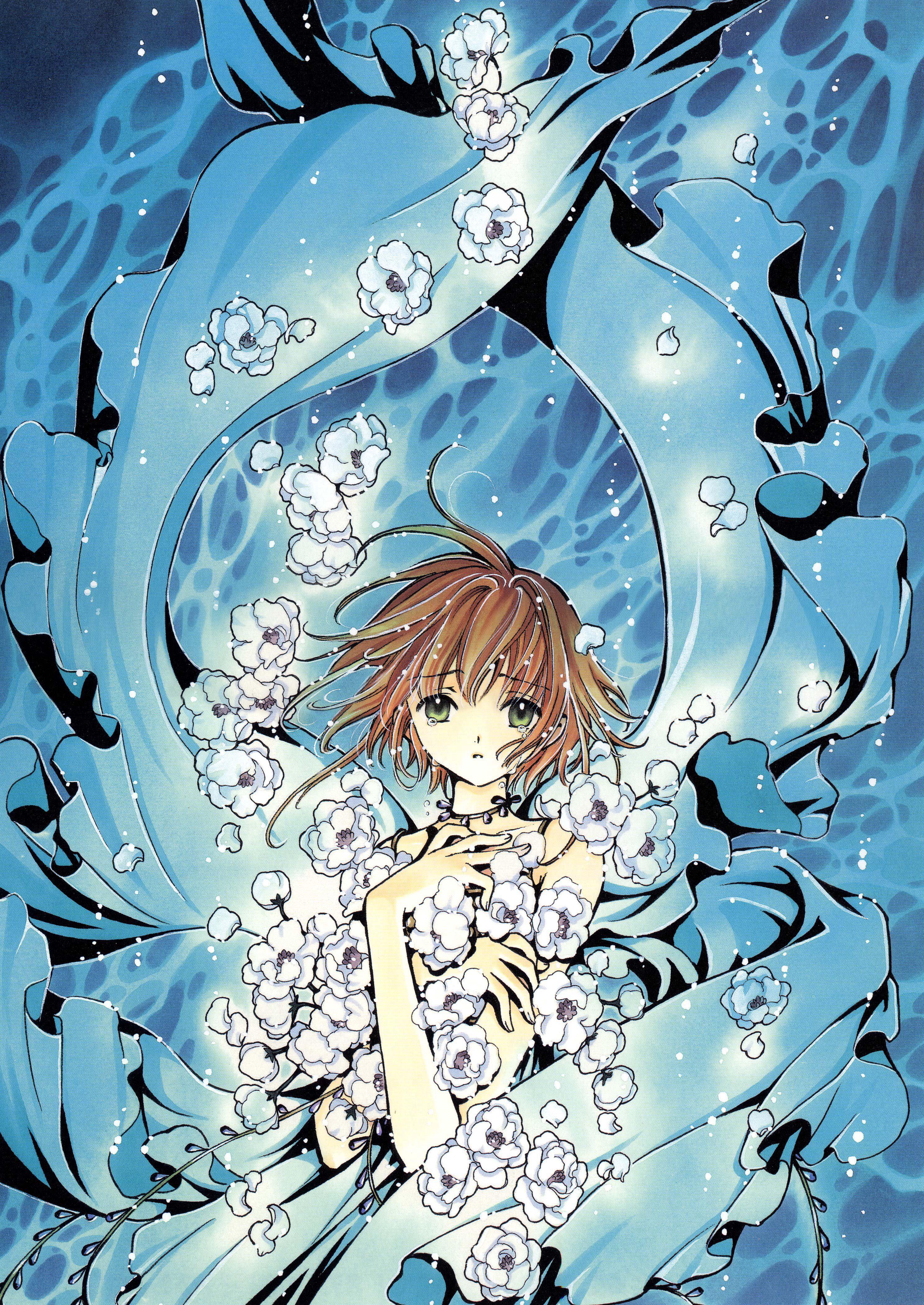 tsubasareservoirchronicle110.jpg