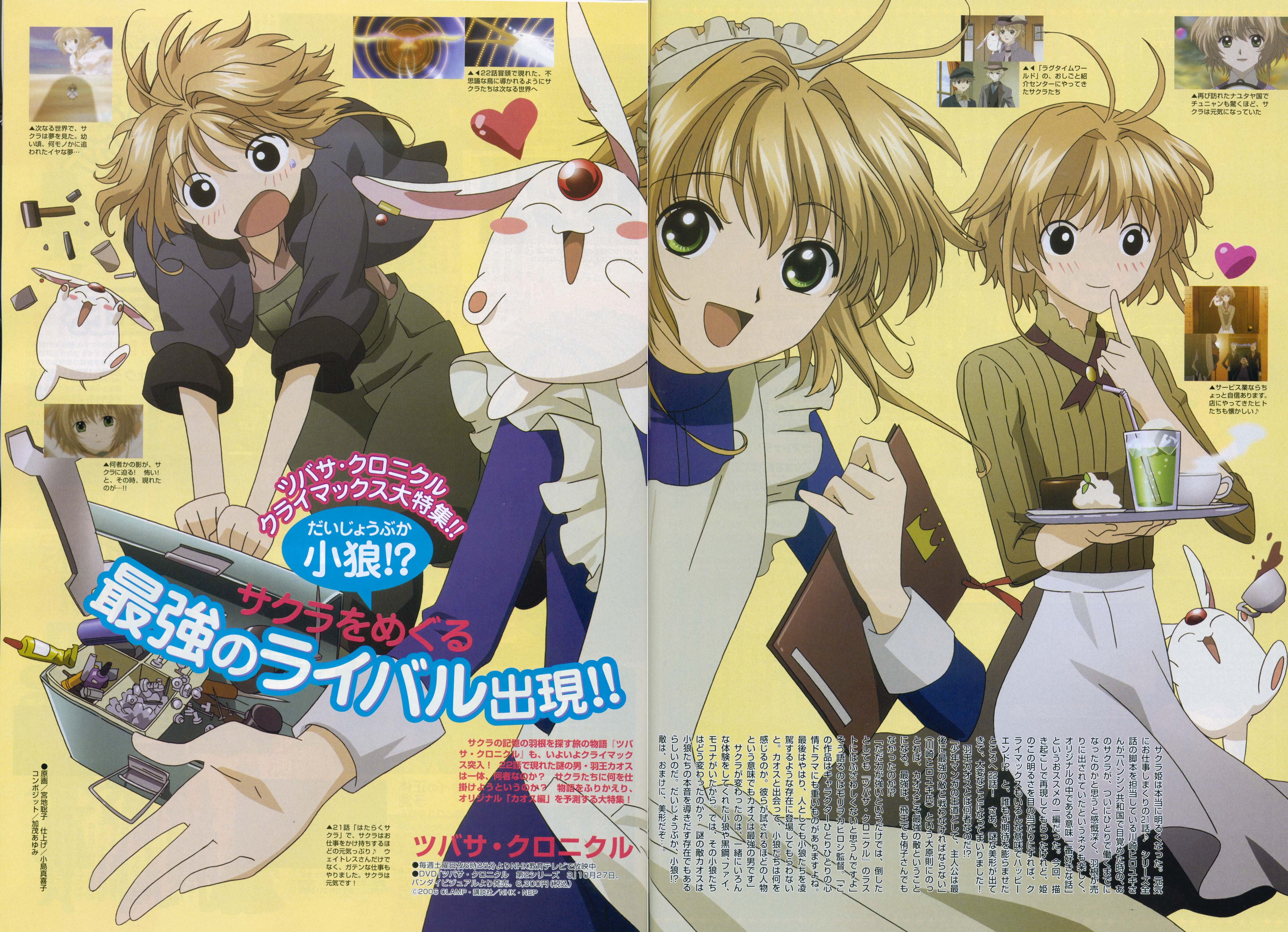 tsubasareservoirchronicle133.jpg