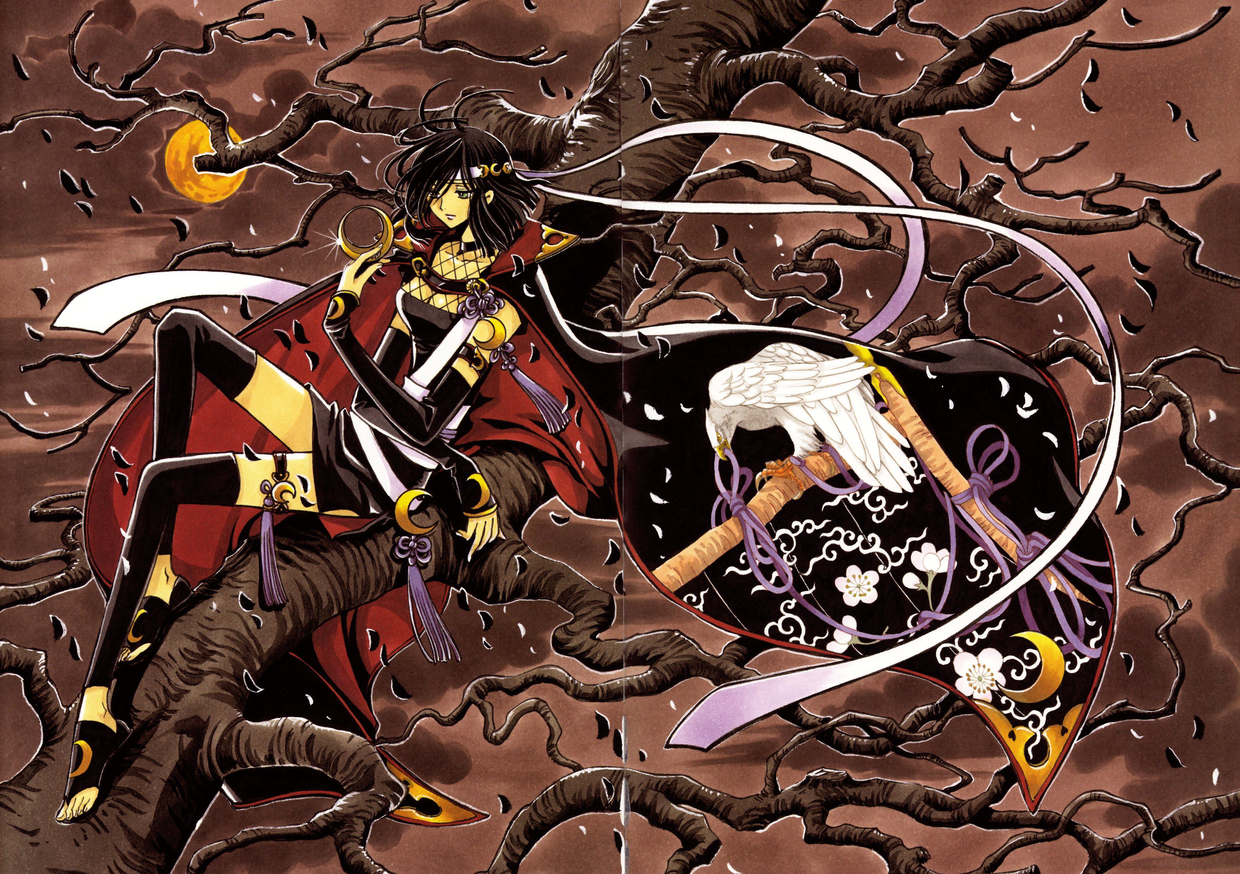 tsubasareservoirchronicle215.jpg