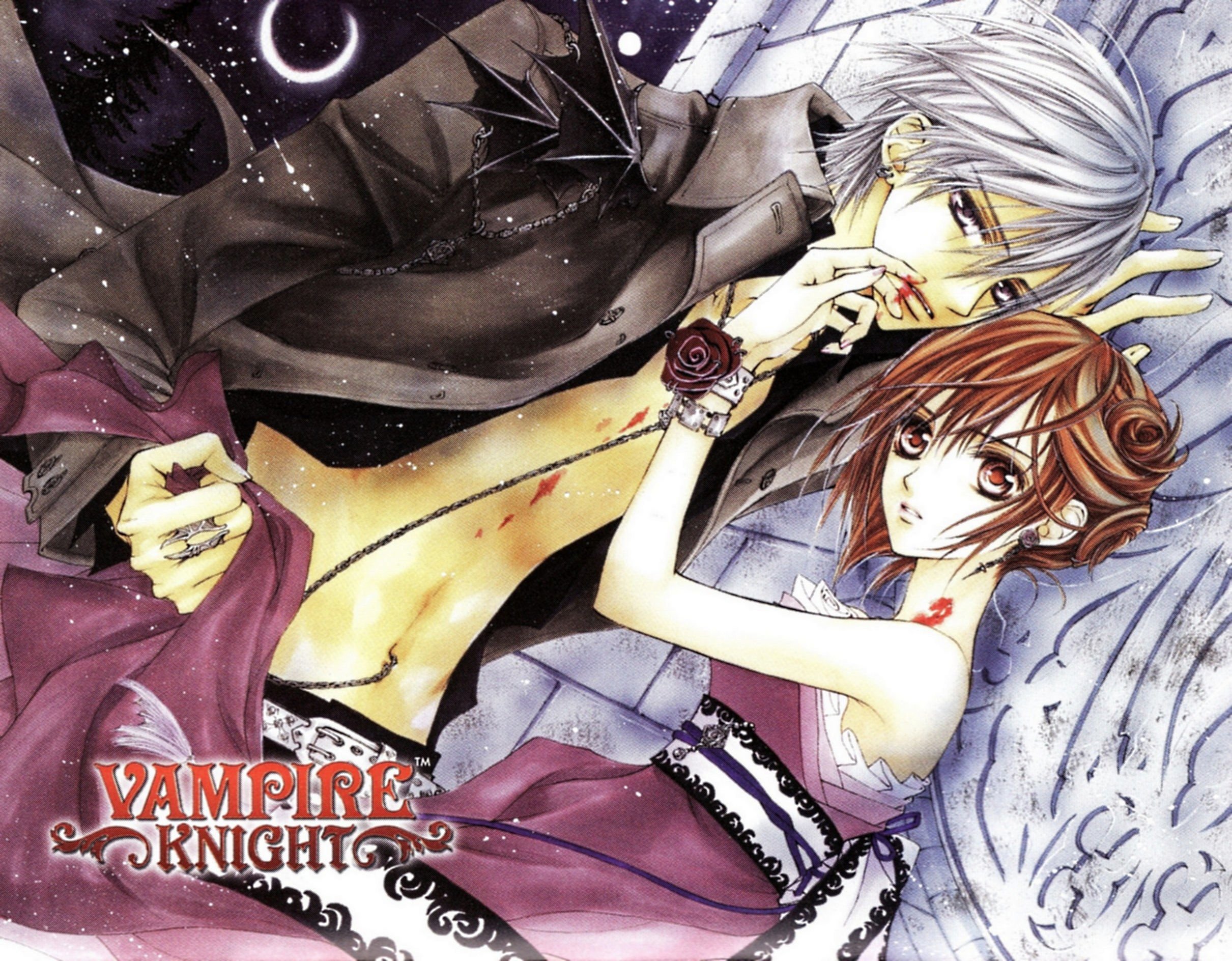 vampireknight47.jpg