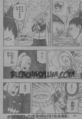 Naruto 529 scan