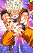 Dragon Ball Z Shin Butoden