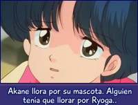 Akane llora por su mascota. Alguien tenía que llorar por Ryoga.