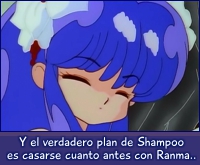 Shampoo a punto de casarse.