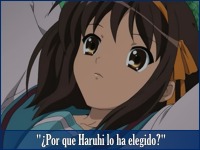 ¿Por que Suzumiya lo ha elegido?