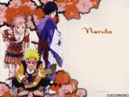 narutowallpaper353_small.jpg